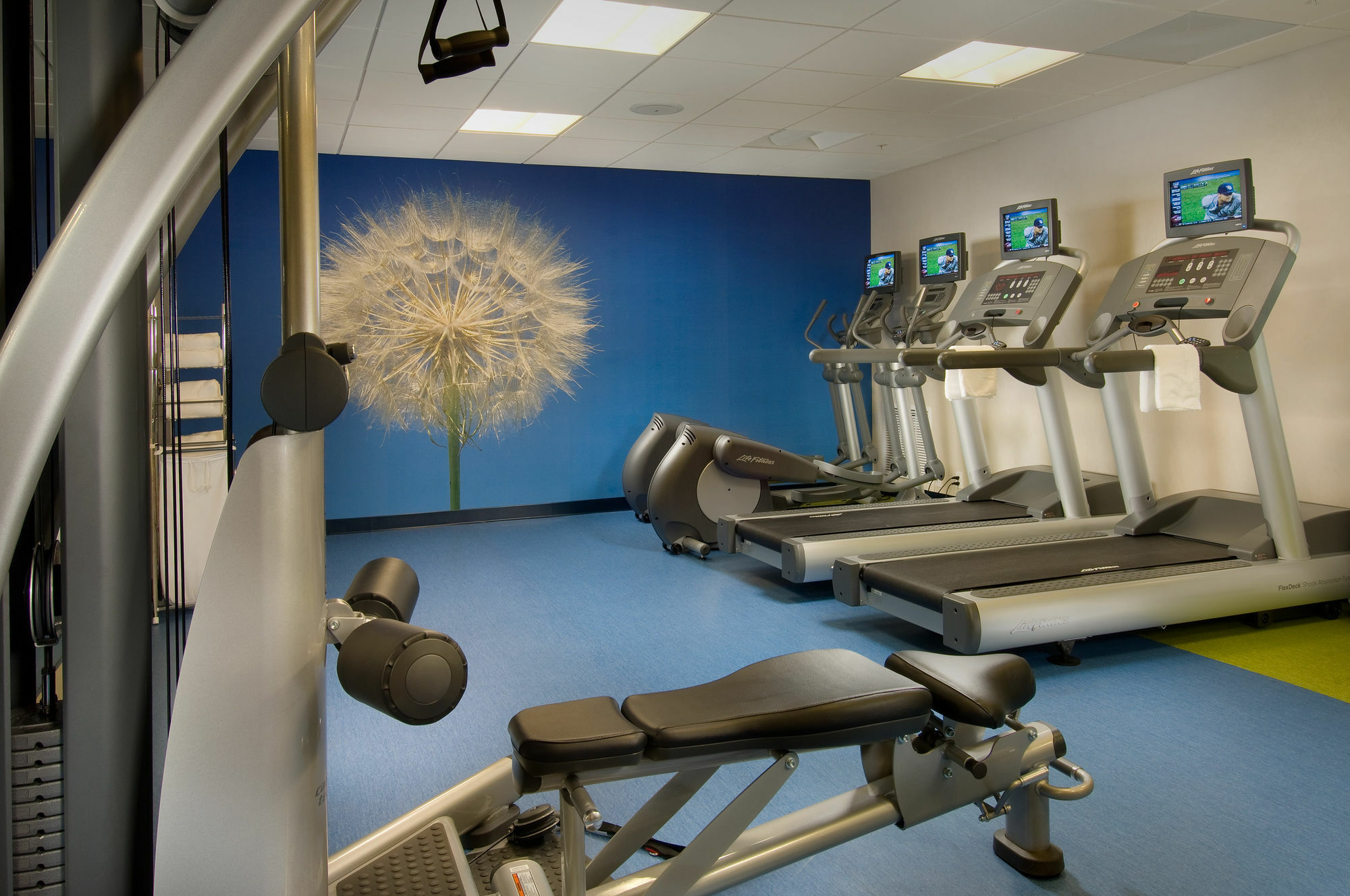 Springhill Suites אלכסנדריה מראה חיצוני תמונה