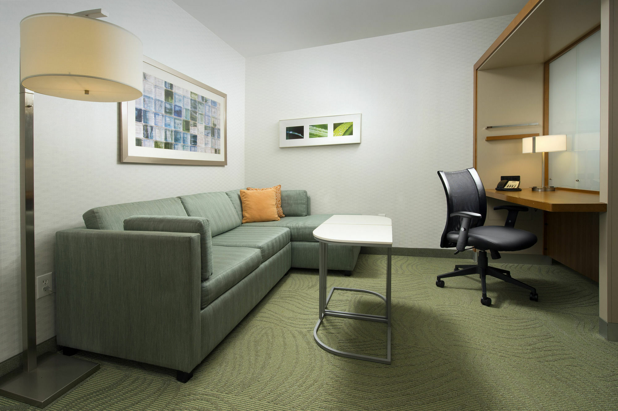 Springhill Suites אלכסנדריה מראה חיצוני תמונה